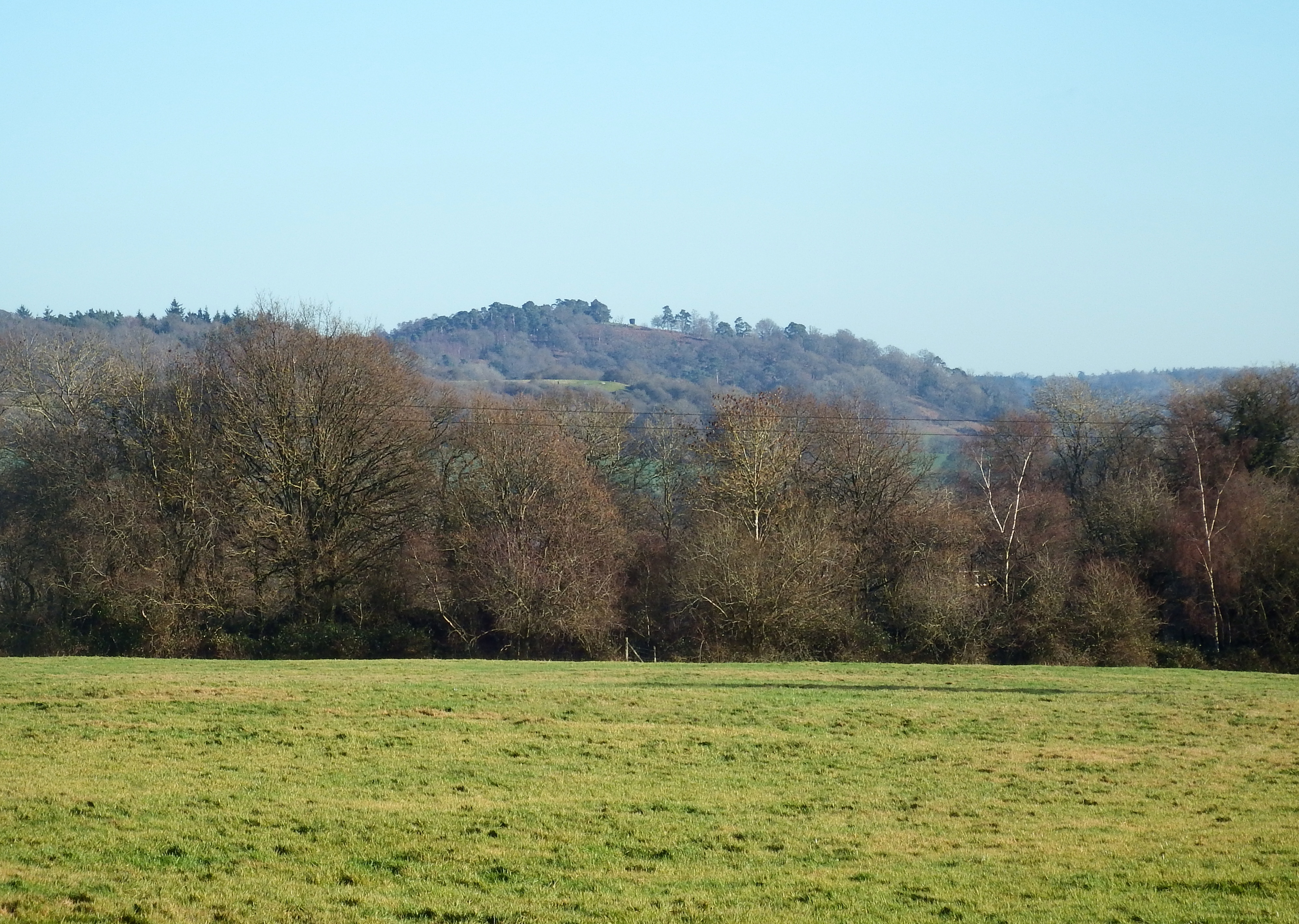 St Martha's Hill with church obscured by trees
